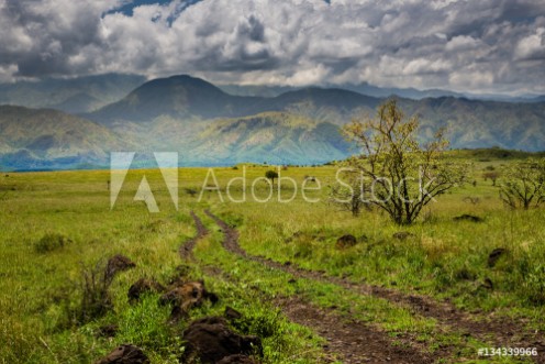 Picture of Nechisar National Park Arba Minch Ethiopia